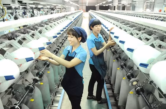 Moyen-Orient : marché d’exportations à fort potentiel ảnh 1