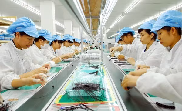 Vietnam, un point lumineux du tableau économique d’Asie pour 2019 ảnh 1