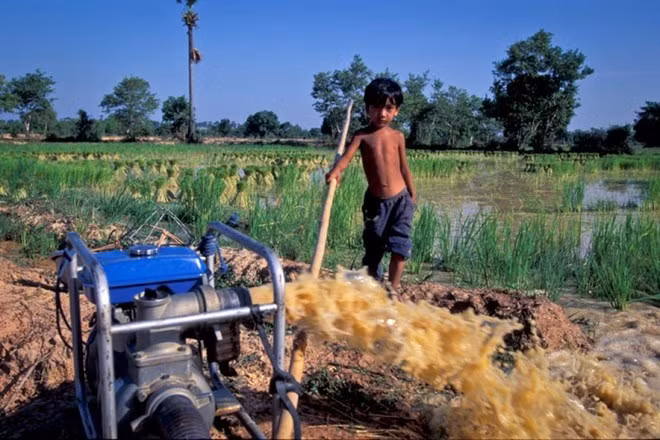 La BAD aide à améliorer les systèmes d’irrigation du Vietnam ảnh 1 La BAD aide à améliorer les systèmes d’irrigation du Vietnam ảnh 1