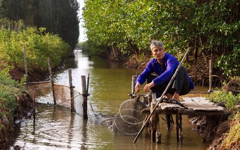 L'Allemagne aide le Vietnam dans la protection des forêts ảnh 1
