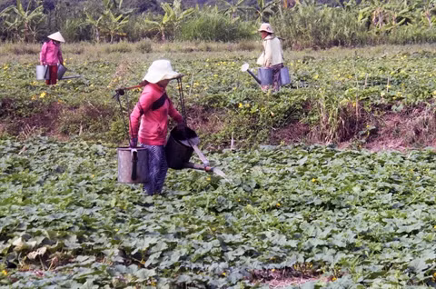 La sécheresse perdure, les dégâts s’alourdissent au Centre ảnh 2