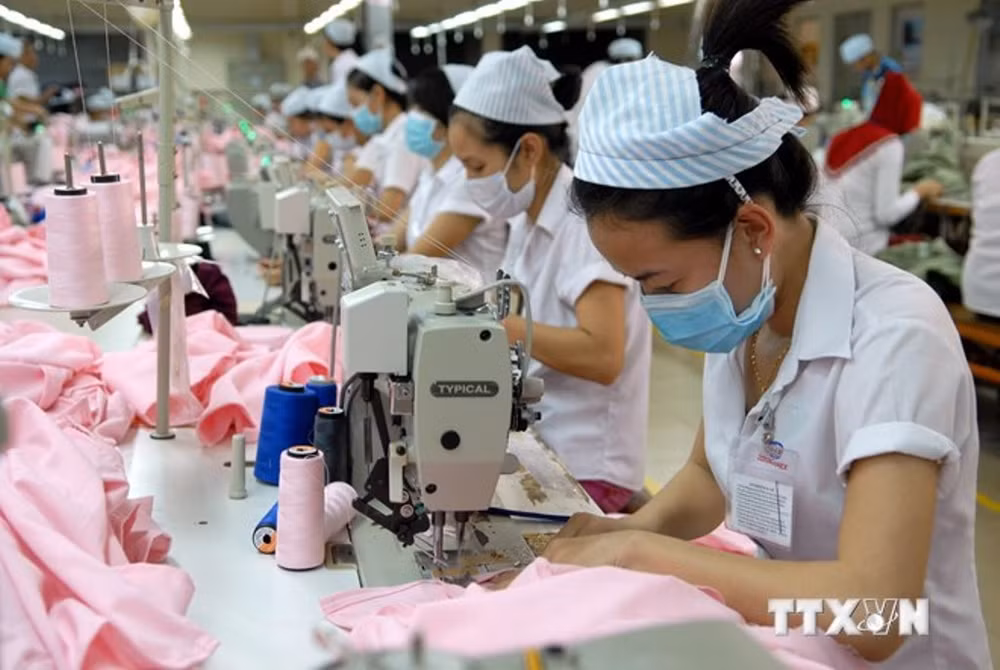 Textile-habillement et chaussures: renforcer les activités syndicales ảnh 1
