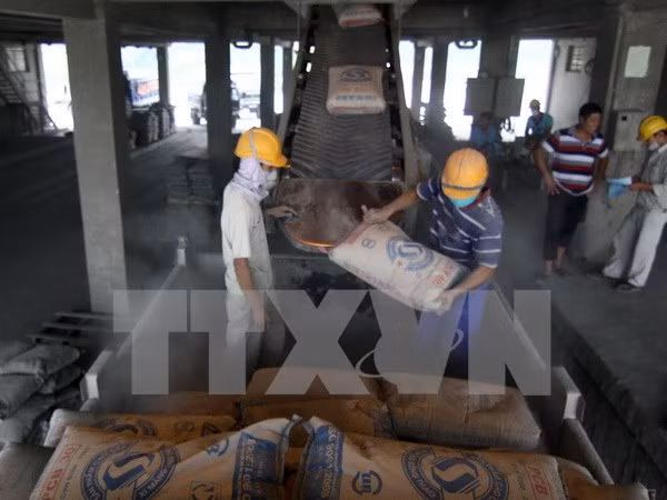 Plus de 410 millions de dollars d’exportations de ciment et de clinker en sept mois ảnh 1 Plus de 410 millions de dollars d’exportations de ciment et de clinker en sept mois ảnh 1