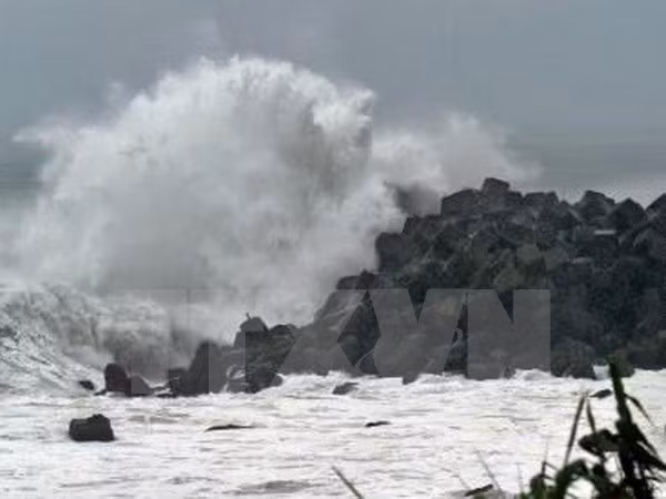 532 stations d'alerte aux tsunamis seront installées dans le Centre du Vietnam ảnh 1 532 stations d'alerte aux tsunamis seront installées dans le Centre du Vietnam ảnh 1