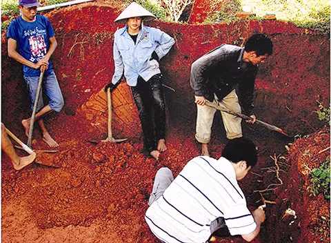 Un tombeau de plus de 1.500 ans à Quang Ninh ảnh 2