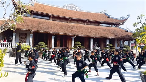 Dông Phuc, une pagode au cœur de l’histoire ảnh 1