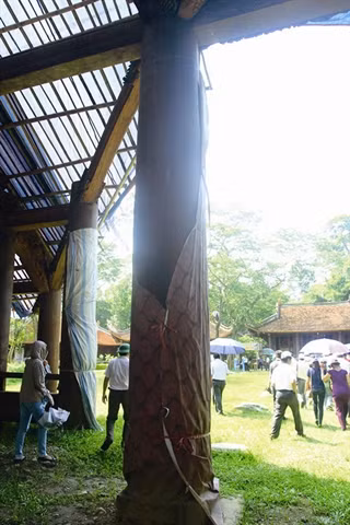 À Lam Kinh, deux arbres phénoménaux ảnh 3
