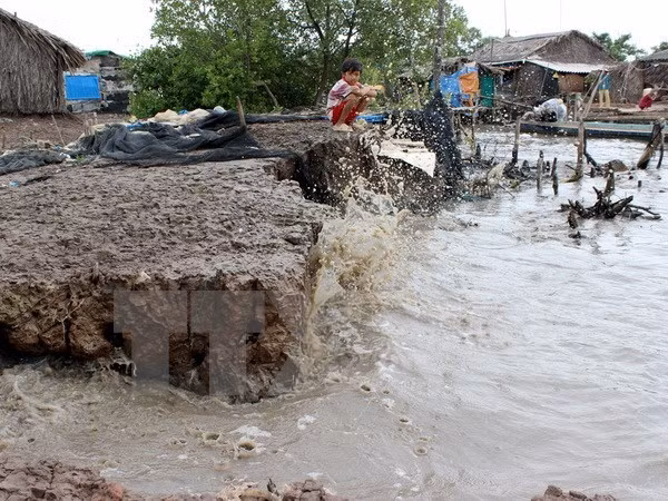 Adoption d'un projet pour faire face au changement climatique ảnh 1