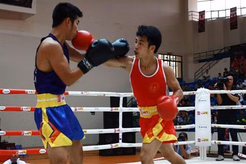 Rencontre vietnamo-sud-coréenne sur le ring ảnh 1