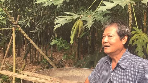 Un protecteur d’aigrettes à Ðông Tháp ảnh 1
