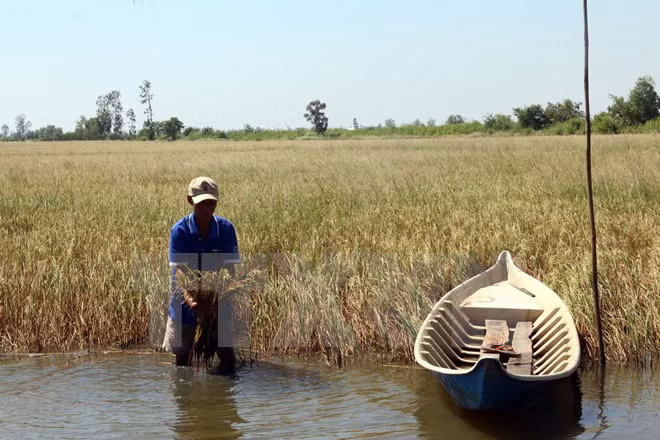 Un projet de résilience au changement climatique qui bénéficie à huit localités ảnh 1