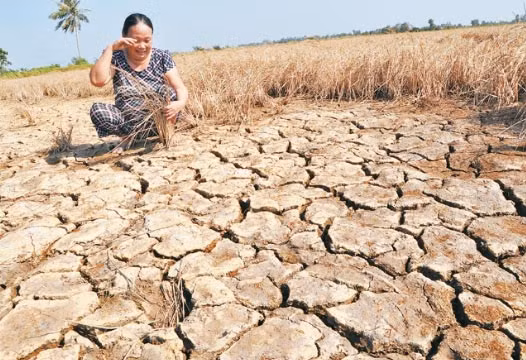 Sécheresse: le Vietnam salue l’ouverture par la Chine des barrages ảnh 2