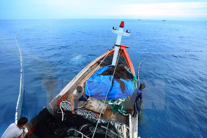 Séoul invité à soutenir les efforts de paix de l'ASEAN en Mer Orientale ảnh 1