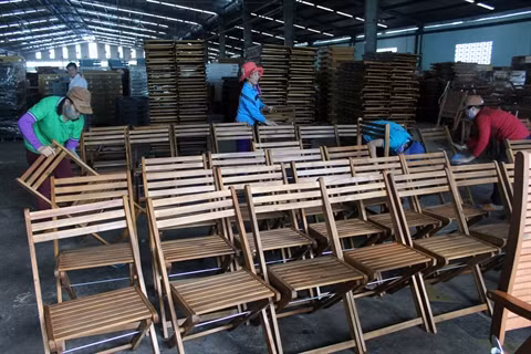 Nécessité de contrôler l’origine du bois brut ảnh 1