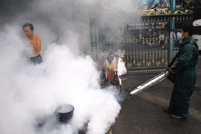 Bangkok décrète une alerte à la dengue ảnh 1