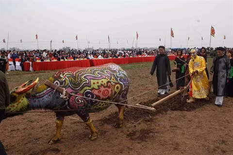 Le buffle dans la vie culturelle et spirituelle des Vietnamiens ảnh 2
