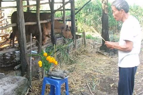 Le buffle dans la vie culturelle et spirituelle des Vietnamiens ảnh 3