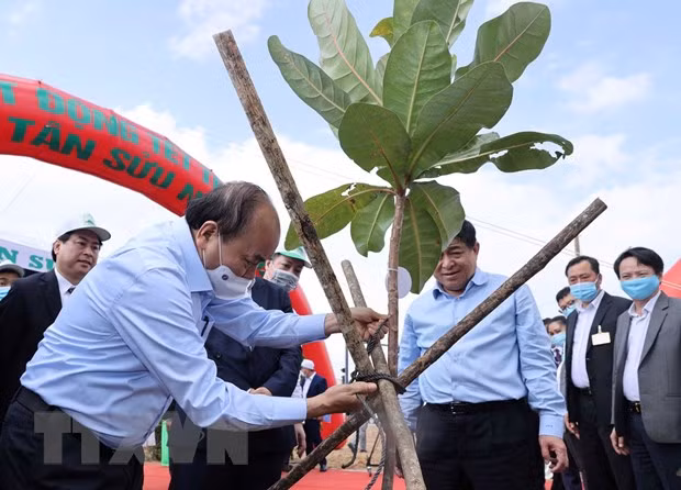 Le PM à la cérémonie de lancement de la Fête de plantation d'arbres à Phu Yên ảnh 2