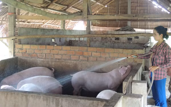 Kien Giang poursuit le travail de réduction de la pauvreté ảnh 1