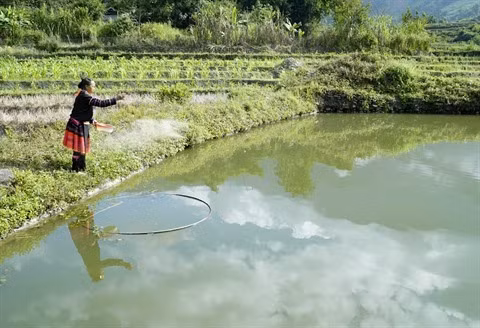 Une solution au problème de la réduction de la pauvreté ảnh 1 Une solution au problème de la réduction de la pauvreté ảnh 1