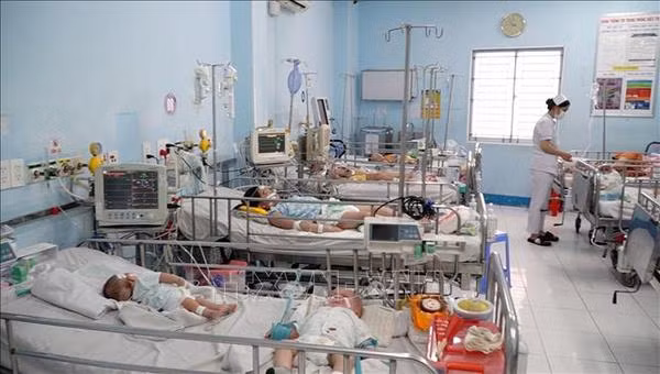 Le premier vaccin contre la maladie pieds-mains-bouche au Vietnam en attente d'approbation ảnh 1