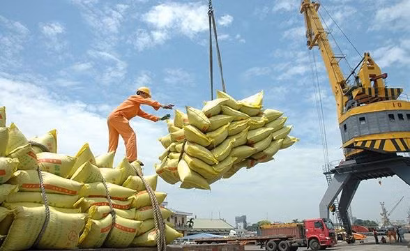  Le Vietnam demeure le plus grand fournisseur de riz aux Philippines ảnh 1