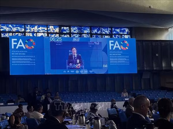 Propositions du Vietnam à la réunion plénière de la 43e conférence de la FAO ảnh 1