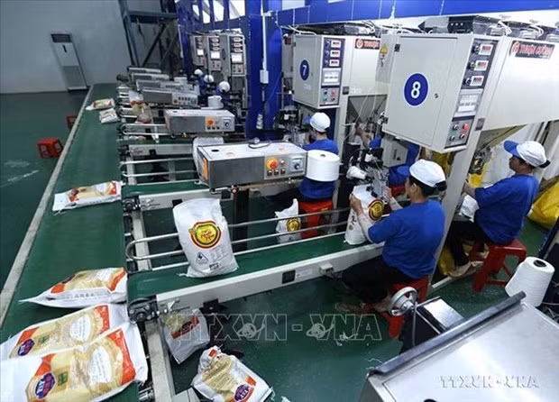 Les exportations de produits agro-sylvicoles et aquatiques devraient rebondir au 4e trimestre ảnh 1 Les exportations de produits agro-sylvicoles et aquatiques devraient rebondir au 4e trimestre ảnh 1