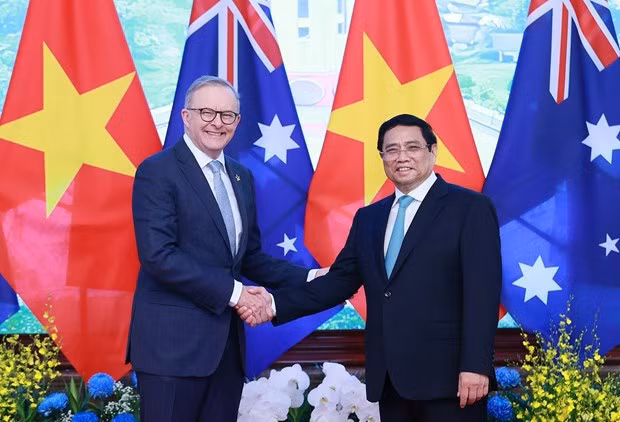 La "diplomatie du bambou" du Vietnam reflète la cohésion du pays avec la communauté internationale ảnh 1