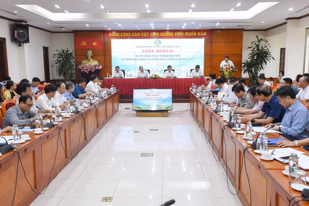 Nécessité de saisir les opportunités de stimuler les exportations de riz ảnh 1