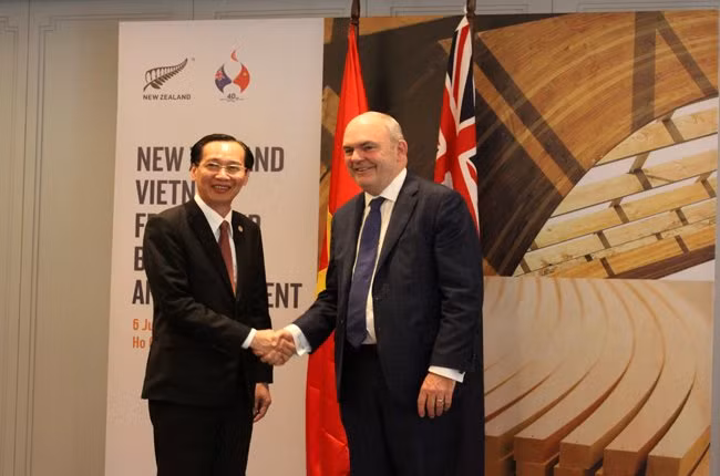 Projet de construction du pont de l’amitié Vietnam-Nouvelle-Zélande à HCM-Ville ảnh 1