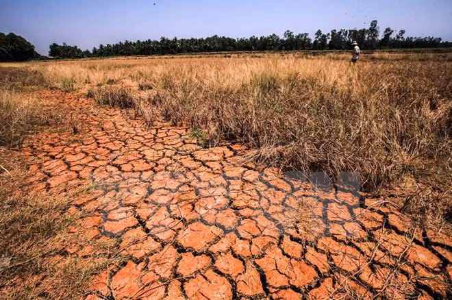 Des chercheurs américains discutent de la sécheresse dans le Delta du Mékong ảnh 1