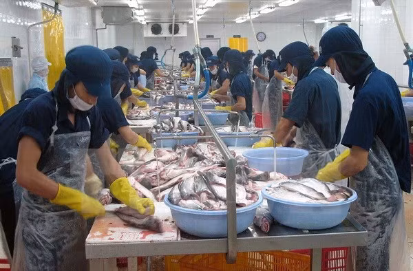 Le Vietnam apprécie l’adoption par le Sénat américain de la fin des contrôles de pangasius ảnh 1