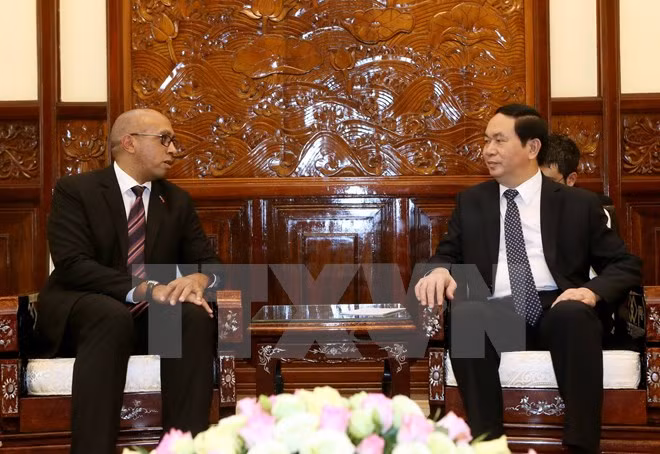 Le président Tran Dai Quang reçoit les ambassadeurs de Cuba et de l'UE ảnh 1