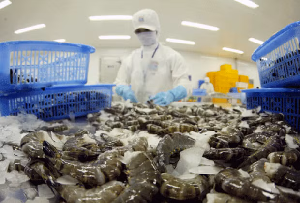 Les exportations de crevettes devraient atteindre 3,9 milliards de dollars en 2021 ảnh 1