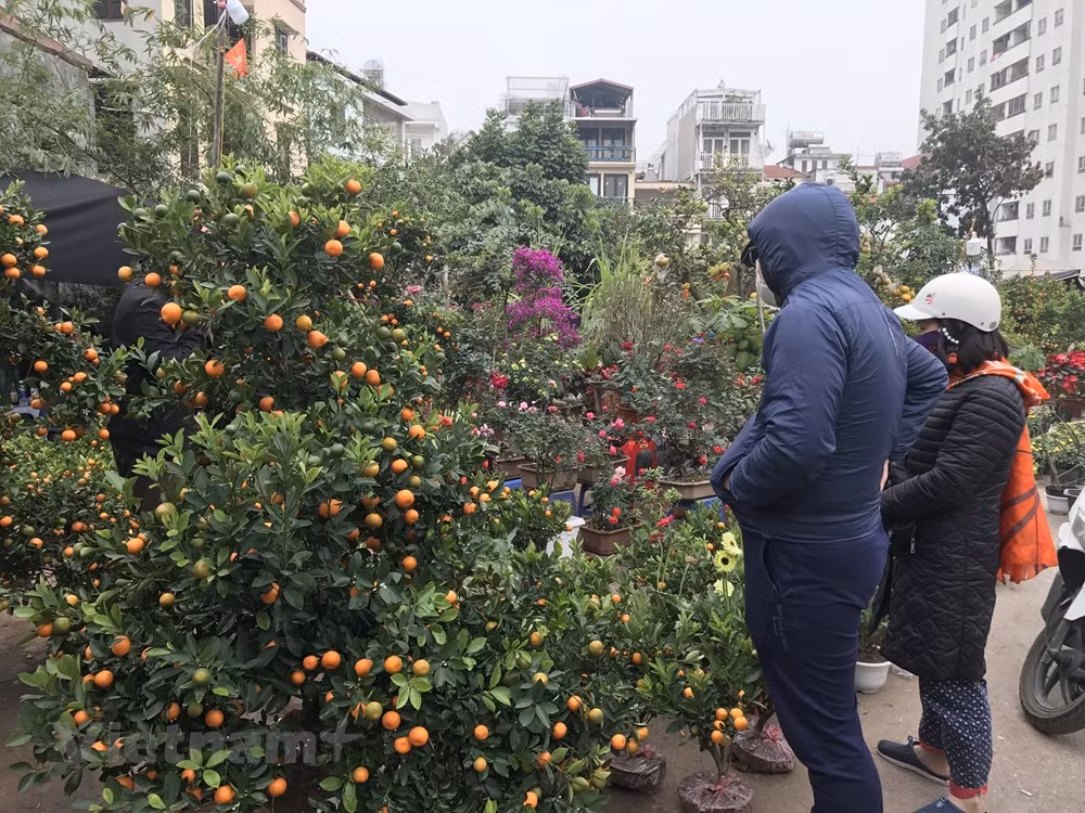 Les marchés traditionnels à l’occasion du Têt/VN+ ảnh 1