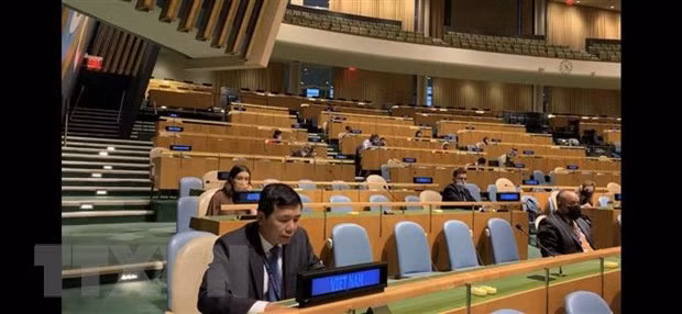  L’Inde salue les contributions positives du Vietnam à l’ONU ảnh 1
