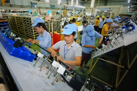 L’industrie d’auxiliaire électronique doit accélérer la numérisation ảnh 1
