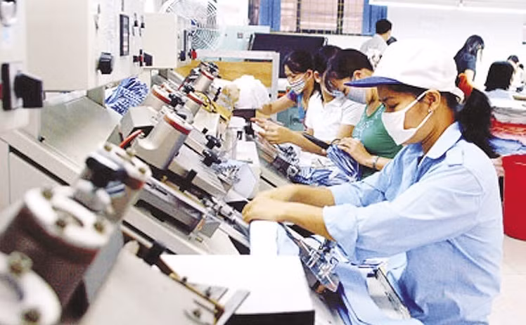 Entreprises privées au Vietnam : augmentation à la fois de la quantité et de la qualité ảnh 1