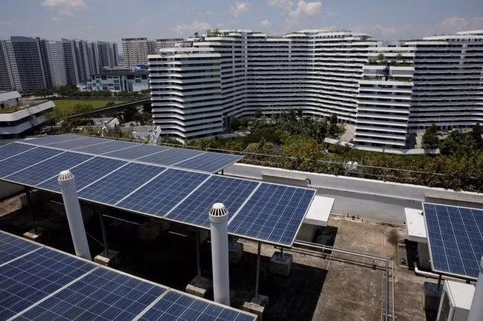 Singapour continue de rechercher l'énergie propre ảnh 1