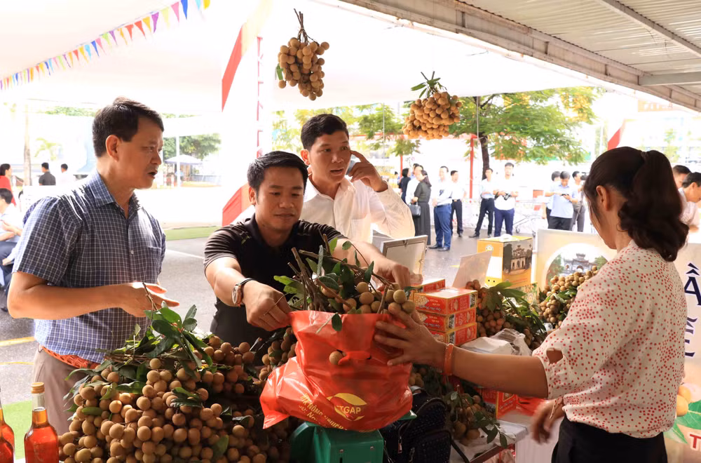 L’e-commerce devrait aider le longane de Hung Yen à conquérir les marchés étrangers ảnh 1 L’e-commerce devrait aider le longane de Hung Yen à conquérir les marchés étrangers ảnh 1