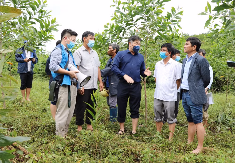 Promouvoir la plantation d’arbres en 2022 ảnh 1