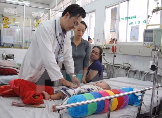 La dengue fait 25 morts au Vietnam depuis le début de l'année ảnh 1 La dengue fait 25 morts au Vietnam depuis le début de l'année ảnh 1