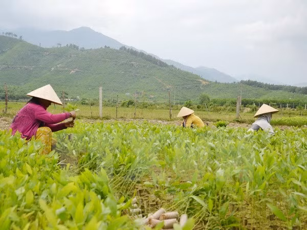 ASEM : le Vietnam promeut les Objectifs de Développement durable ảnh 1