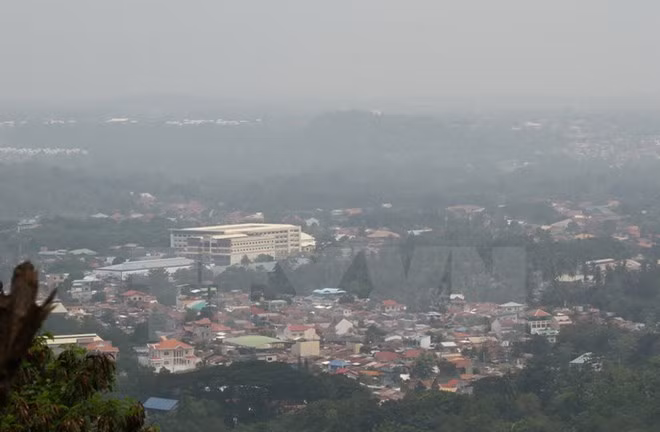 ASEAN : dialogue sur les politiques de gestion des catastrophes ảnh 1