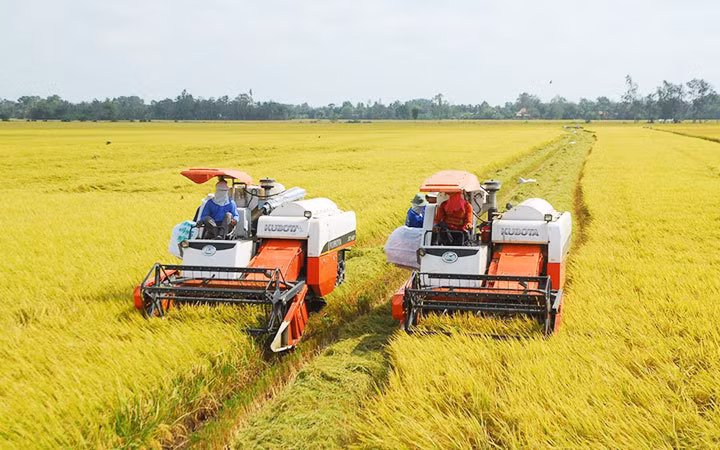 Le Vietnam passe à l'agriculture verte ảnh 1