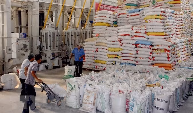 Elaboration d’une stratégie à long terme sur les exportations de riz ảnh 1