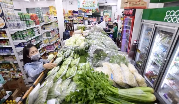Les détaillants nationaux continuent d'ouvrir de nouveaux magasins ảnh 1 Les détaillants nationaux continuent d'ouvrir de nouveaux magasins ảnh 1