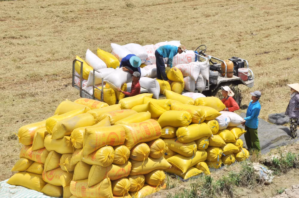 Elaboration d’une stratégie à long terme sur les exportations de riz ảnh 2