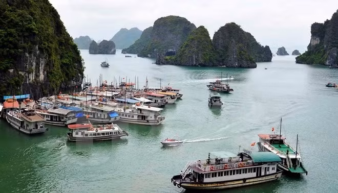 Quang Ninh accueille près de 7,4 millions de visiteurs en novembre ảnh 1 Quang Ninh accueille près de 7,4 millions de visiteurs en novembre ảnh 1